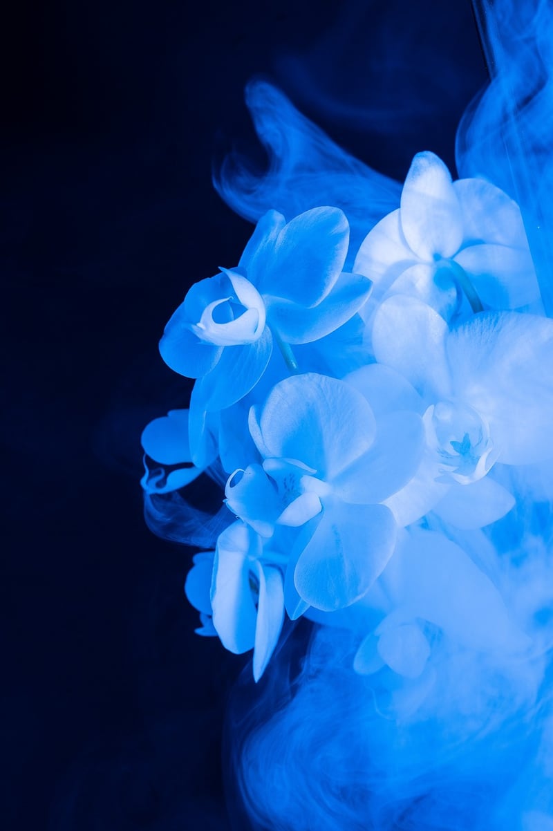 Ethereal florals